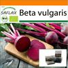Garden in the Bag - Органический - Свекла - Detroit Globe - 100 семян - С субстратом в подходящем стоячем пакете - Beta vulgaris