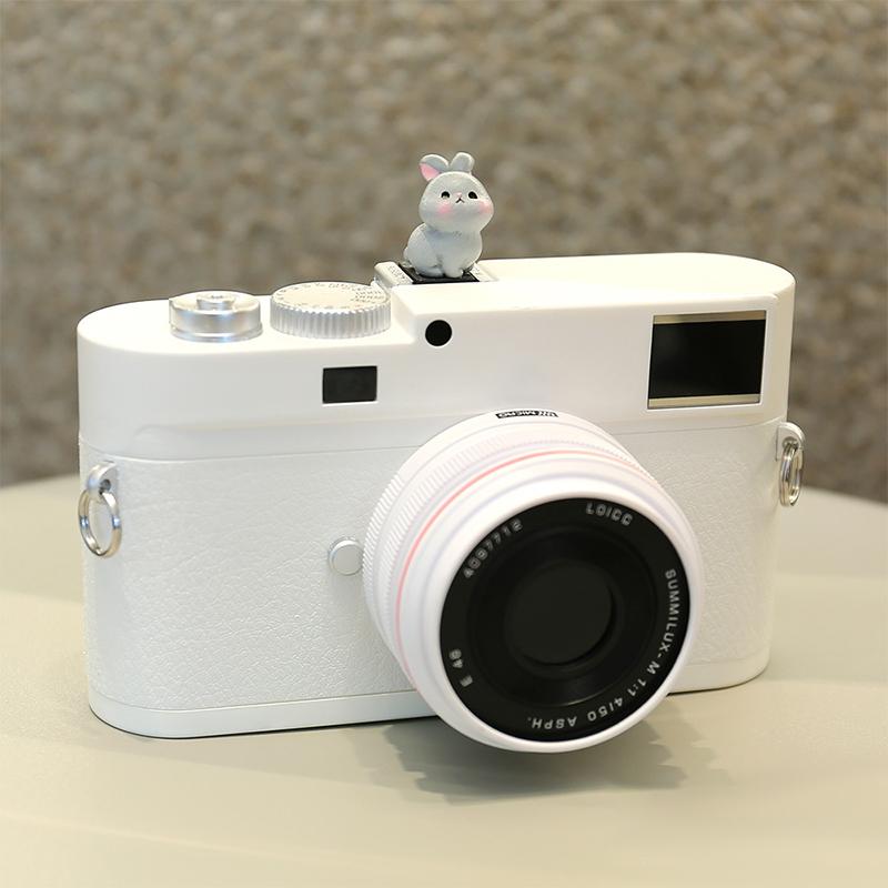 1 шт. Мультяшная креативная защита горячего башмака Крышка горячего башмака для зеркальной камеры Пылезащитная Милая мультяшная фотография