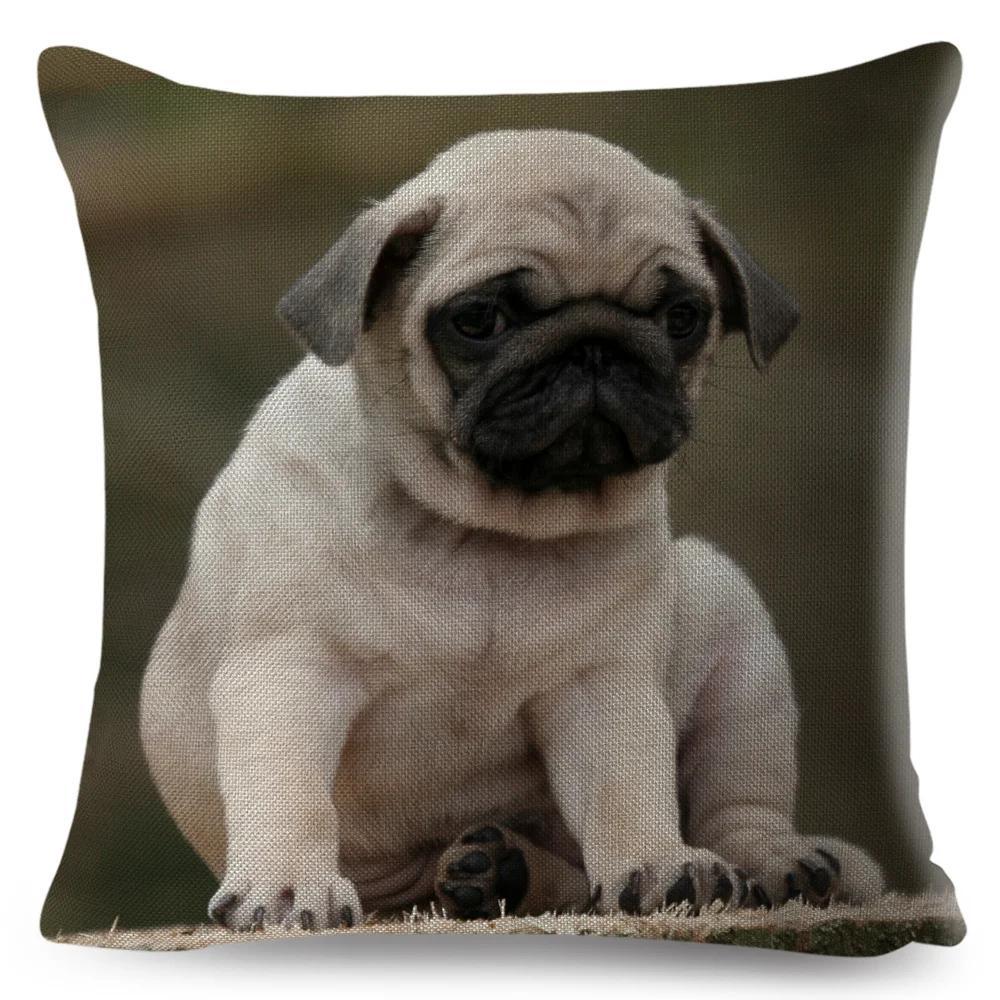 Both Sided Pug Dog Print Cushion Cover Decoration Pet Animal Pillow Case for Sofa Home Car Linen Pillowcase 45x45cm