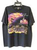 Винтажная футболка унисекс 90-х Robert Plant Jimmy Page Unledded Tour KH15052