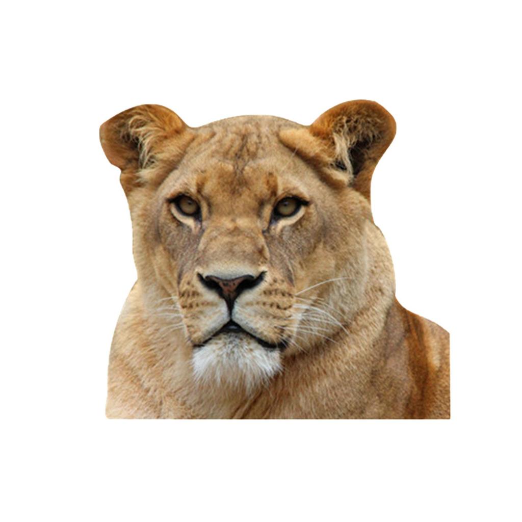 Наклейки на оконное стекло автомобиля, наклейка на автомобиль серии животных