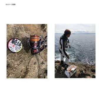 Daiwa Изомастер ЭД ТВ2.0-150