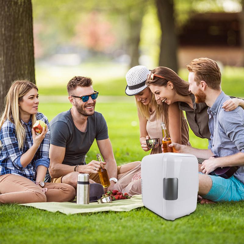 12 В двойного назначения мини-холодильник 4 л охлаждение нагревание автомобильный холодильник портативный летний уличный кемпинговый холодильник аксессуары для автомобиля