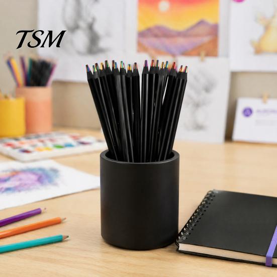 Pencils for Toddlers 12PCS Rainbow Colored Pencils, with Black Wood Barrel And Durable Drawing Lead Core, Art Training Sketching Kids Supplies