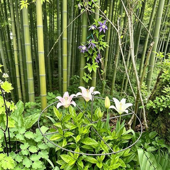Peony Cage, Plant Support Cage with Four Legs, Heavy-Duty Metal Plant Support Ring for Roses Tomatoes Cucumbers Hydrangeas