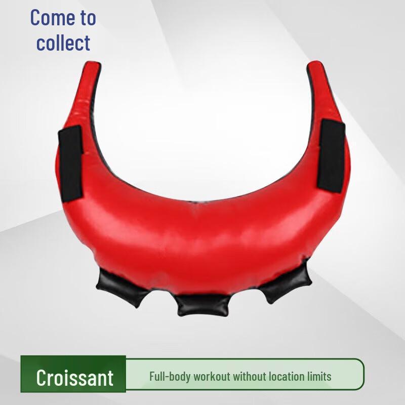 Laicai PU Weighted Fitness Sandbag