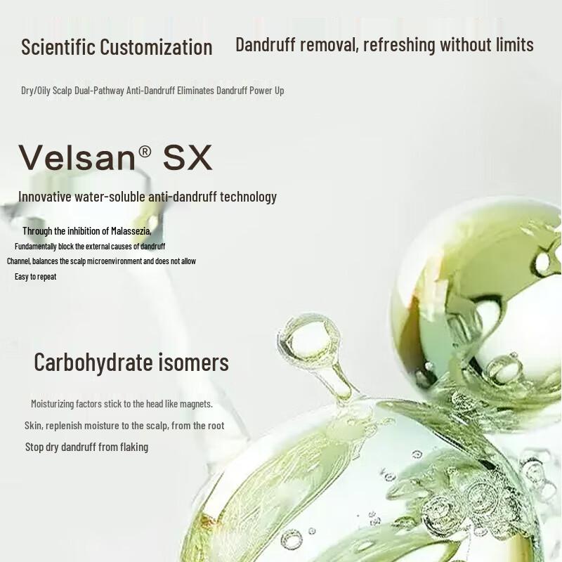 Sen Zhi Lu Camellia Seed Amino Acid Oil Control Anti-Dandruff Shampoo