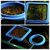 1Pc Aquarium Feed Ring Fish Tank Station Floating Food Tary Square/Circle Feeder