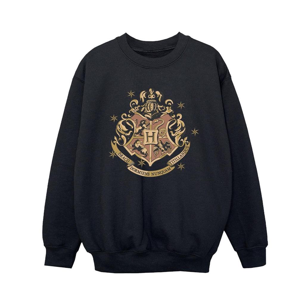 Harry Potter Boys Gold Hogwart Crest Sweatshirt