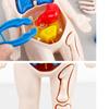 Non-Toxic Montessori Toys Children Science Education Human Body Organ Anatomy Model Diy Assembled Medical Toys Teaching Tools Child Kids