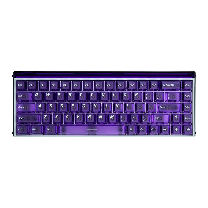 Zhenhuo Gaming Foggy Transparent Keycaps for Wooting Little Bee Made68/75 Mechanical Magnetic Axis Keyboard Custom PBT 94-Key Purple