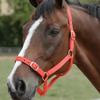 Roma Horse Headcollar And Leadrope