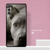 Питбуль Прекрасная Собака Питбуль Чехол для Телефона Для Samsung Galaxy S23 Ultra Plus S21 S22 Ultra S20 FE S9 S10 Note 10 20 Ultra