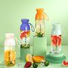 Portable Water Bottle Sports Fruit Tea Bottle Cold Drink 530mL