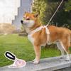 Adjustable Dog Chest Strap Multi-color Pet Walking Vest Dog Harness and Leash Set  Outdoor Walking