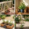 Rust-Proof Plant Climbing Support for Grapevines and Roses