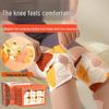 Hezheng Vitality Gift Set CN plug (adapter included)