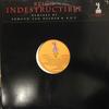 12inch Record REIGN - Indestructible (The Remixes) 1193410071 H.O.L.A. Record 1996 US Dance & Electronica Used