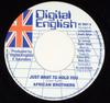 7-дюймовая пластинка AFRICAN BROTHERS - Just Want To Hold You DE9901 Цифровой Английский США Регги, Ска и Даб Б/У