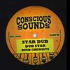 12inch Record BUSH CHEMISTS / RAPHA PICO; DOUGIE  - Star Dub; Dub Star / Change Must Co CS1220 Conscious Sound 2024 UK Reggae, Ska & Dub