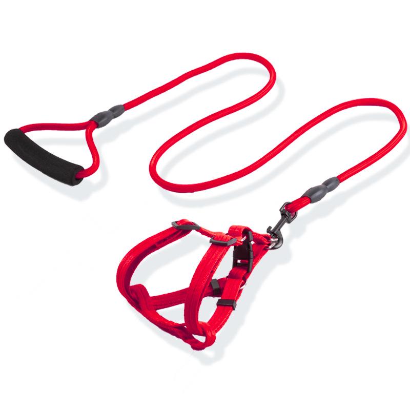Регулируемый комплект поводка и ошейника для маленьких, средних и крупных собак - Идеально подходит для выгула домашних питомцев, таких как тедди и золотистый ретривер