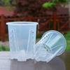 Transparent Breathable Flower Pot for Phalaenopsis and Dendrobium - Root Control Design