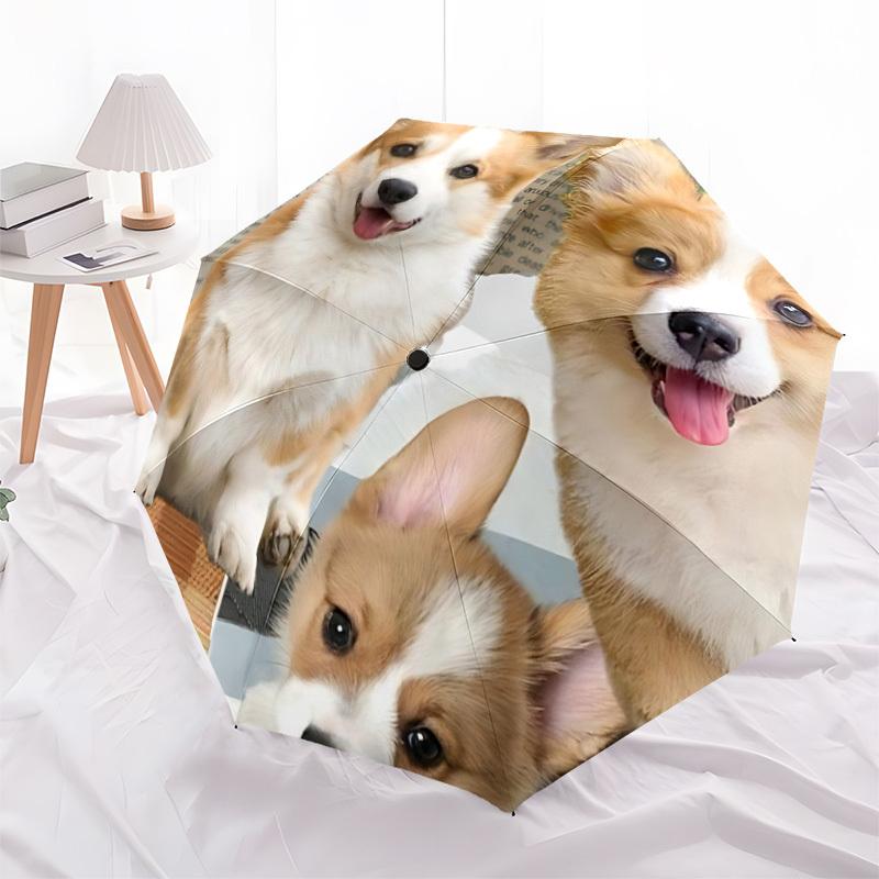 1pc Dogs Pets Automatic Open/Close Umbrella Compact Folding Umbrella, All-Season Portable Umbrella for Women/Men079