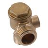 Male Threaded Check Valve Air Compressor Valve  The Old or Broken Check Valve of Air Compressor.