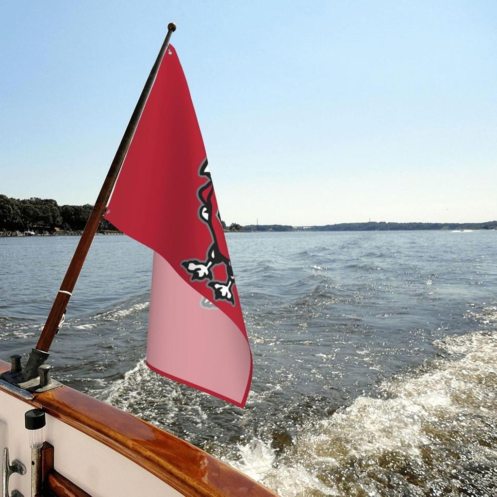 Флаг декоративный уличный Benedictine College 3 x 5 футов, садовый флаг, уличный одинарный флаг