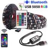 USB LED Strips Bluetooth-compatibl 5050 RGB IR Control Led Mural Chambre Flexible Lamp Tape Diode for Room TV Background Lights