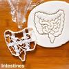 Halloween Skull Brain Organs Cookie Cutters Plastic 3D Cartoon Pressable Biscuit Stamp Chocolate Mold Cake Decorating Tools