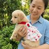 Cotton Dog Suspenders Dress Thin Breathable Summer Cat Clothes Puppy Princess Skirt  Spring