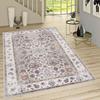 Washable Printed Carpet RVGHOME1480