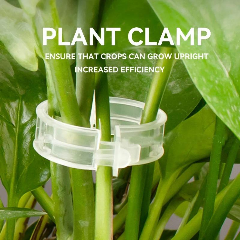 100-800PCS Plant Fixing Clips Reusable Plant Vegetables Vine Connects Fixing Tool Tomato Grafting Protect Garden Supplies