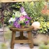 Mini Size Mini Wooden Stool Round Flower Display Stand Decorative Bonsai Rack  Living Room