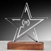 Crystal and Wood Trophy with Free Engraving - Excellence Award and Commemorative Plaque for Employee Recognition and Competitions.