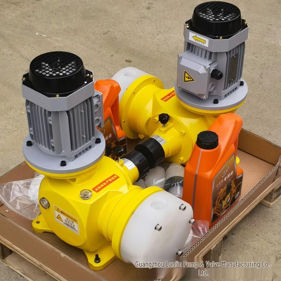DZ-X2/50 304 Stainless Steel Acid & Alkali Resistant Plunger Metering Pump
