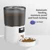 Smart Pet Feeder: 4L Automatic Food Bowl for Cats and Dogs