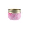 Party Portable Mini Small Round Storage Box Tea Cans Containers Packaging Box Tin Plate Canister