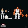 Hasbro MARVEL Legends Серия Future Foundation Существо и Невидимая Леди, 15 см Фигурка 2-упаковка G2069, Многоцветный, 25.4см x 22.3см x