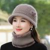 Middle-aged and Elderly Hats Ladies Autumn and Winter Rabbit Fur Knitted Woolen Hats Elderly Grandma Warm Hats Winter Mother Hats Women