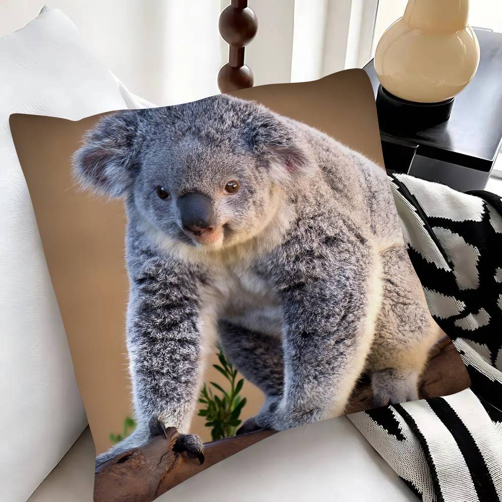 Cute Koala Pillow Case Fashion Square Pillowcase Bedroom Sofa Room Ins Decoration Leisure