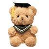 Doctor Graduation Teddy Bear Plush Toy with Hat, Customizable Logo