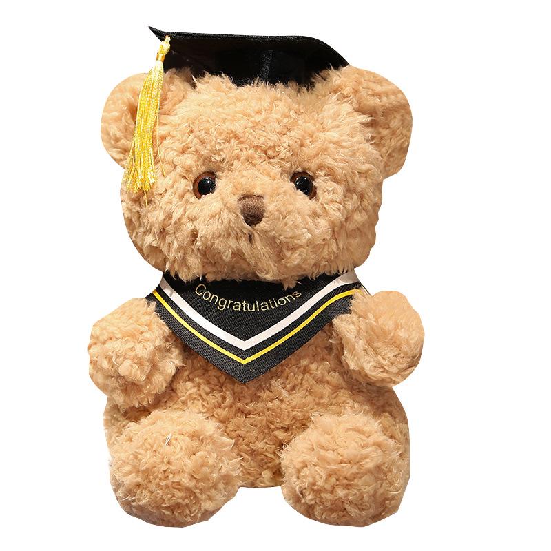 Doctor Graduation Teddy Bear Plush Toy with Hat, Customizable Logo