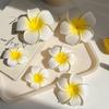 1PC/2PCS/3PCS Hawaiian Plumeria Flower Hair Clips Women Artificial Hairpins Wedding Boho Beach Hair Accessories Gift