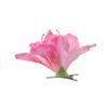 Гавайские шпильки для волос Canna Barrette Gladiolus Bohemia Flower Hair Clips Women