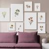 Vintage Wild Plant Posters Botanical Flower Prints Canvas Painting Modern Wall Art Pictures for Living Room Home Decoration