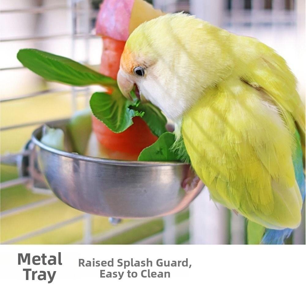 Stainless Steel Parrot Feeder Splash-Proof Vegetable Skewer Bird Food Holder  Bird Supplies
