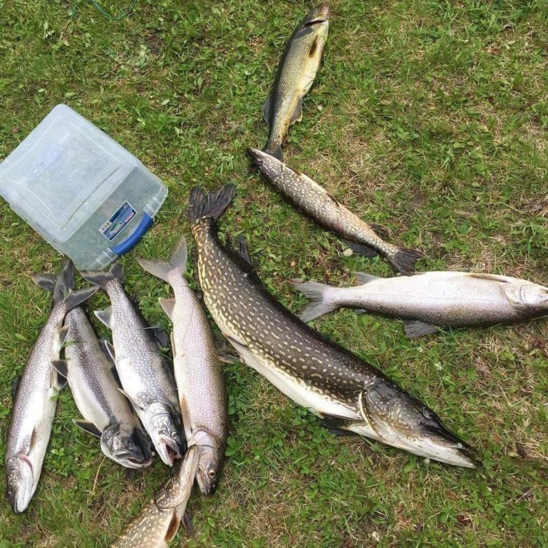 1/3/5 шт. мягкие силиконовые рыболовные приманки, искусственная приманка для окуня, крутой рыболовный аксессуар для пресной и соленой воды