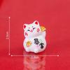 Micro Landscape Creative Cute Good Luck Fat Fortune Cat DIY Decoration Accessories Car Desktop Mini Ornaments Office Desktop